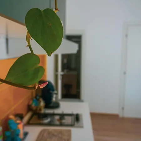 Appartamento Ospiti A Casa Mia *